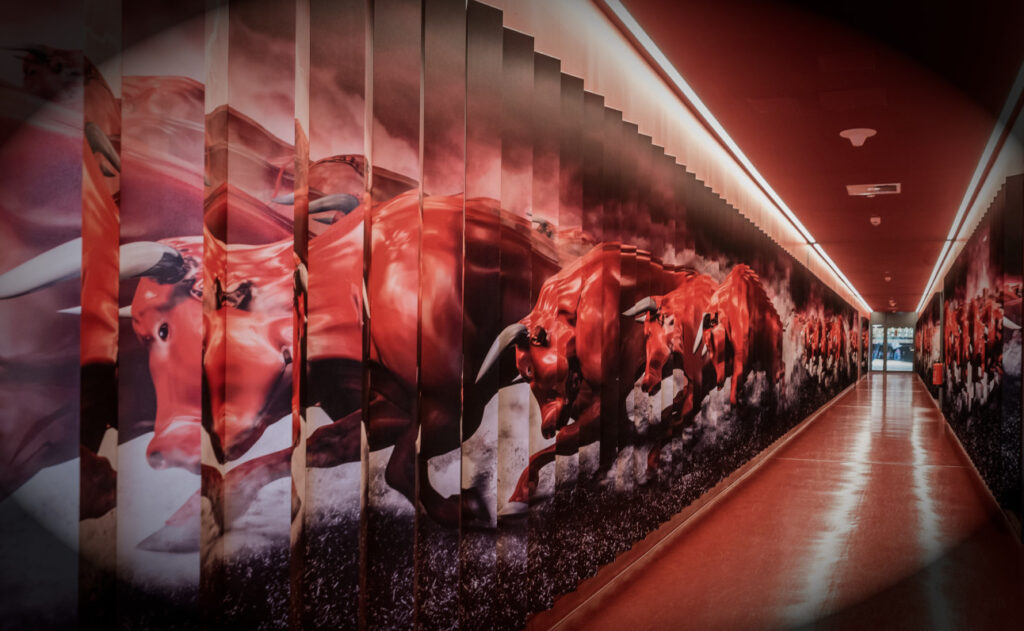 RB Leipzig Tunnel im Stadion. Archivbild: Dziurek / Shutterstock.com